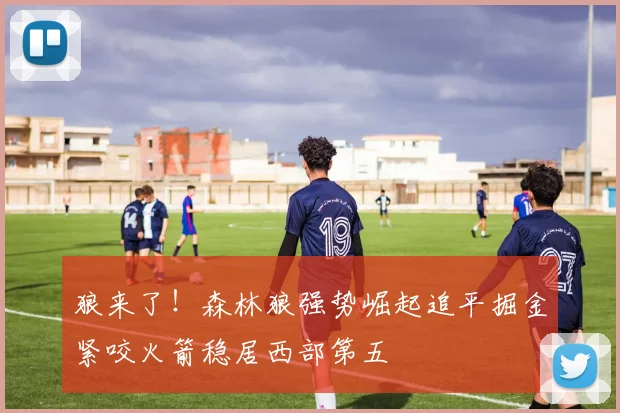 狼来了！森林狼强势崛起追平掘金紧咬火箭稳居西部第五